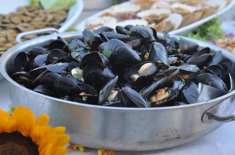 Restaurant/places to eat, Other, Evening entertainment