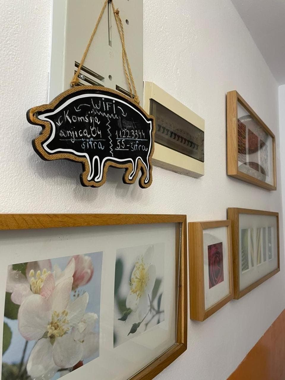 Logo/Certificate/Sign