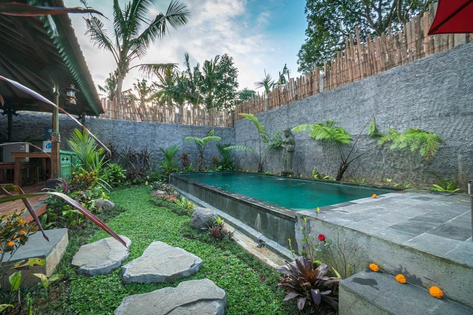 Garden, Pool view, Swimming pool
