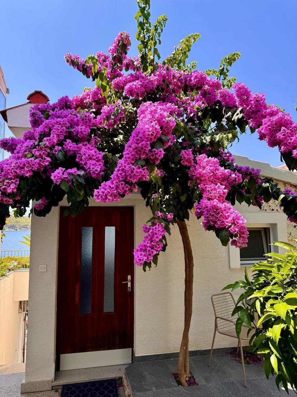 Property building, Patio, Facade/entrance, Spring, Day, Garden, Garden, Balcony/Terrace, Garden view