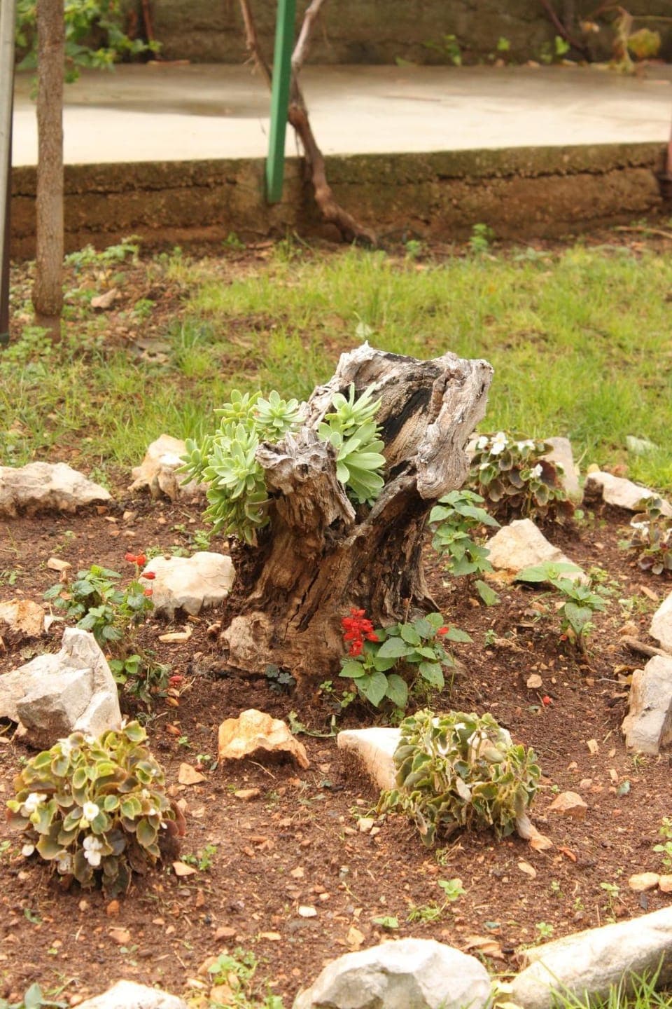 Location, children, Family