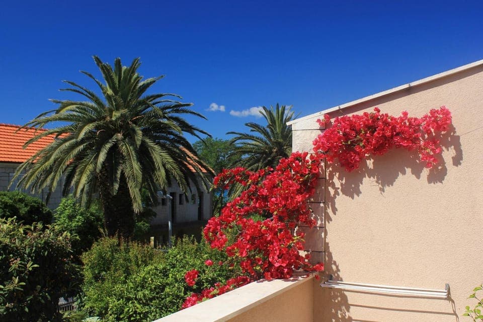 Location, children, Family