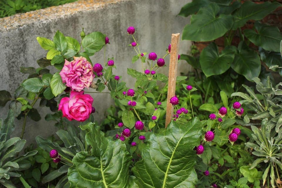 Location, children, Family