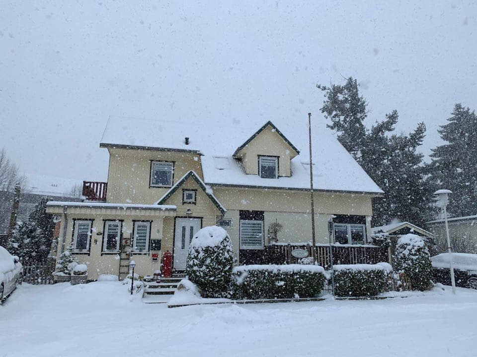 Property building, Winter