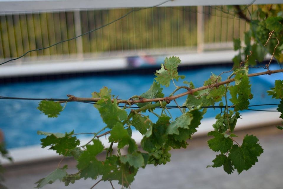 Photo of the whole room, Pool view