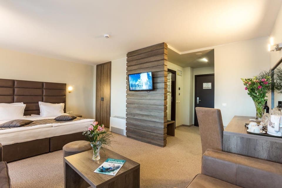 Bed, TV and multimedia, Living room, Photo of the whole room, Seating area