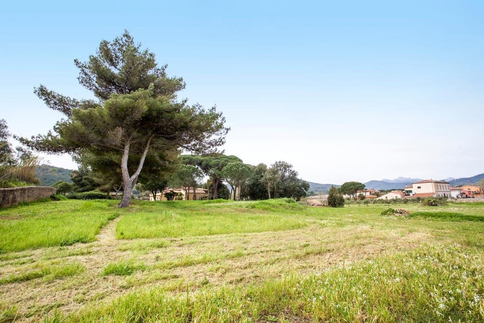 Natural landscape, Garden, On site