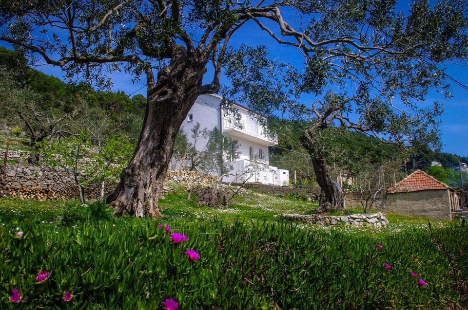 Property building, Neighbourhood, Natural landscape, Garden, On site, Garden view