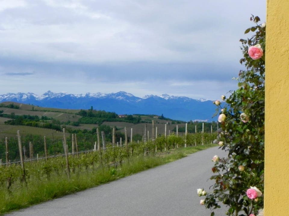 Property building, Mountain view, Street view