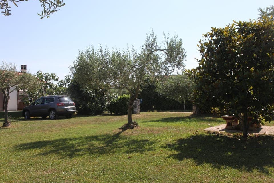 Garden, Garden view