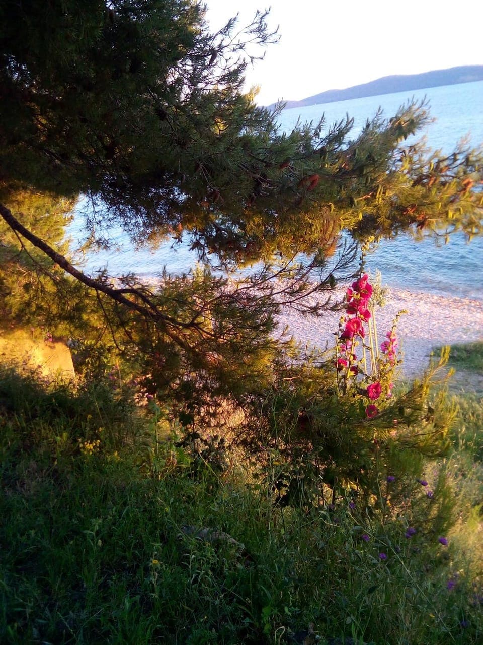 Natural landscape