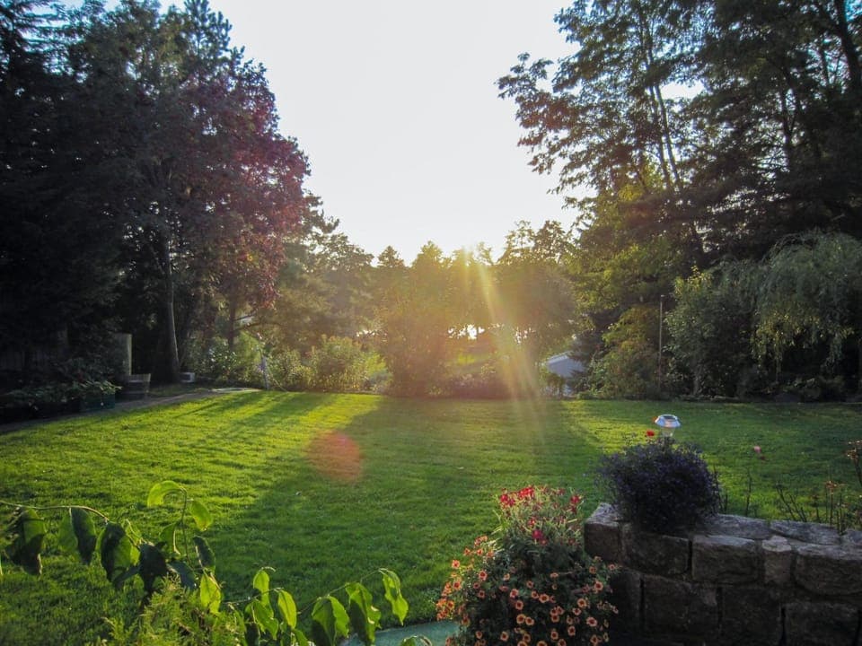 Natural landscape, Garden, View (from property/room), Garden view