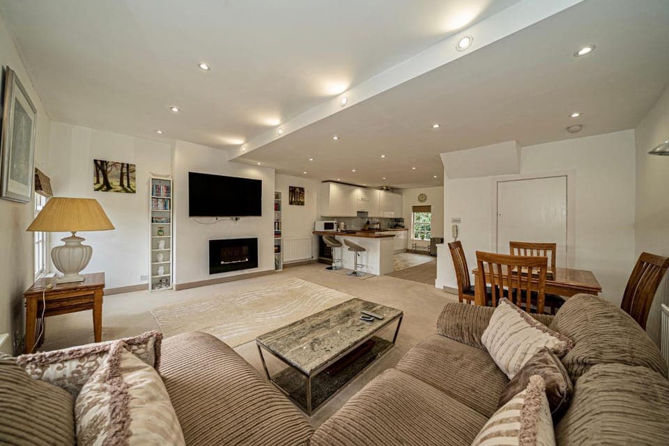 TV and multimedia, Kitchen or kitchenette, Living room, Seating area, Dining area, minibar, pet friendly, stove