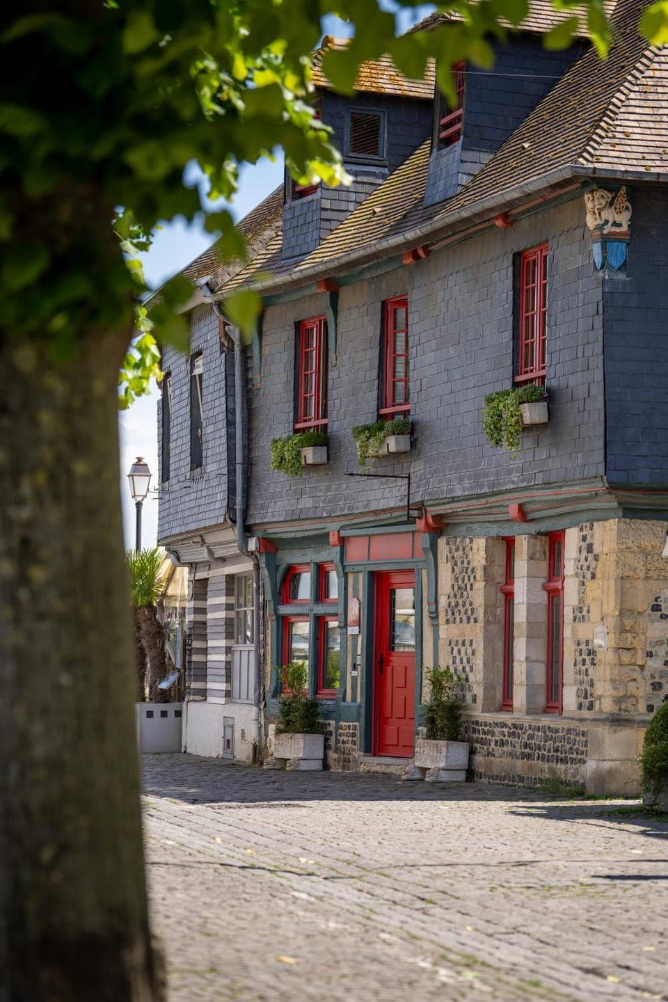 Property building, Neighbourhood, Street view
