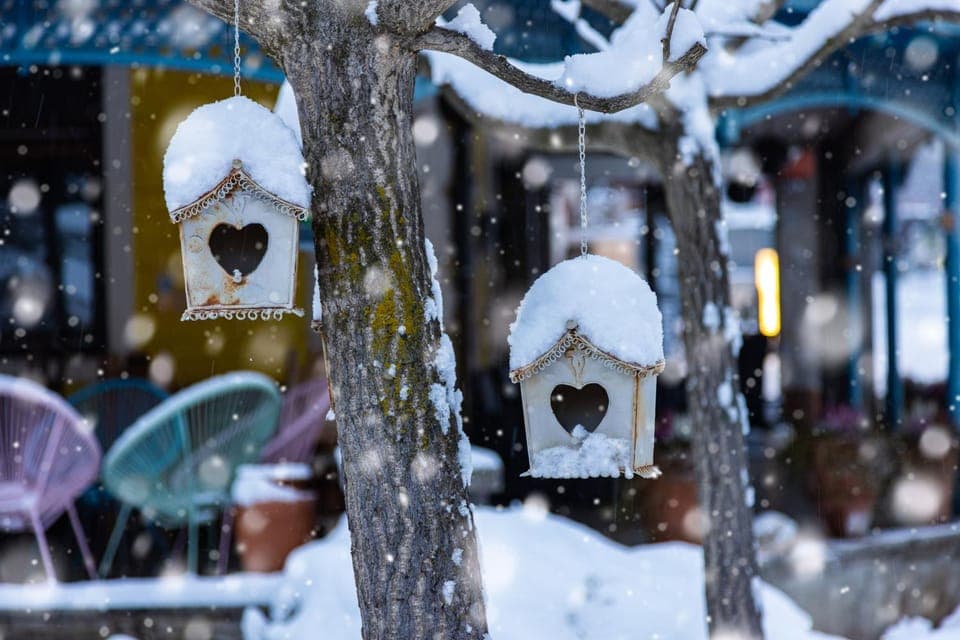 Winter, Decorative detail