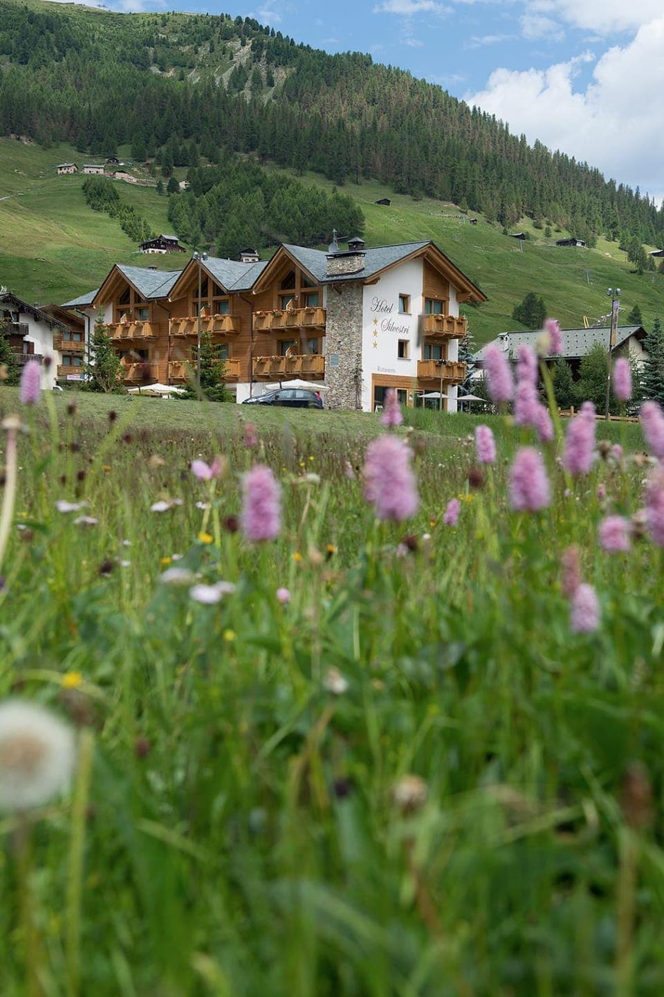 Hotel Silvestri Hotel in Canton of Grisons