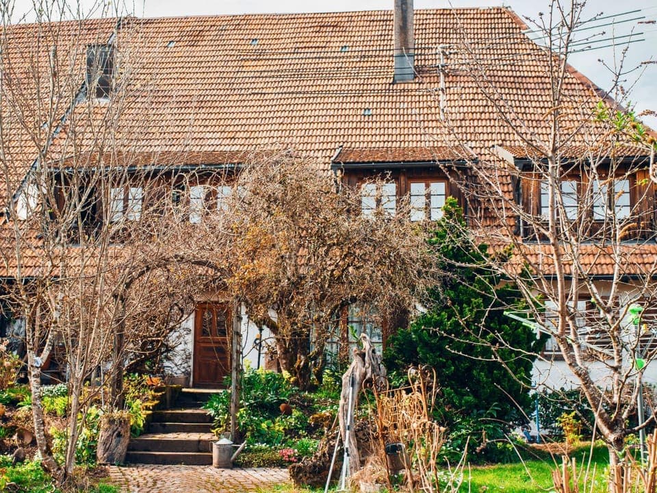 Property building, Day