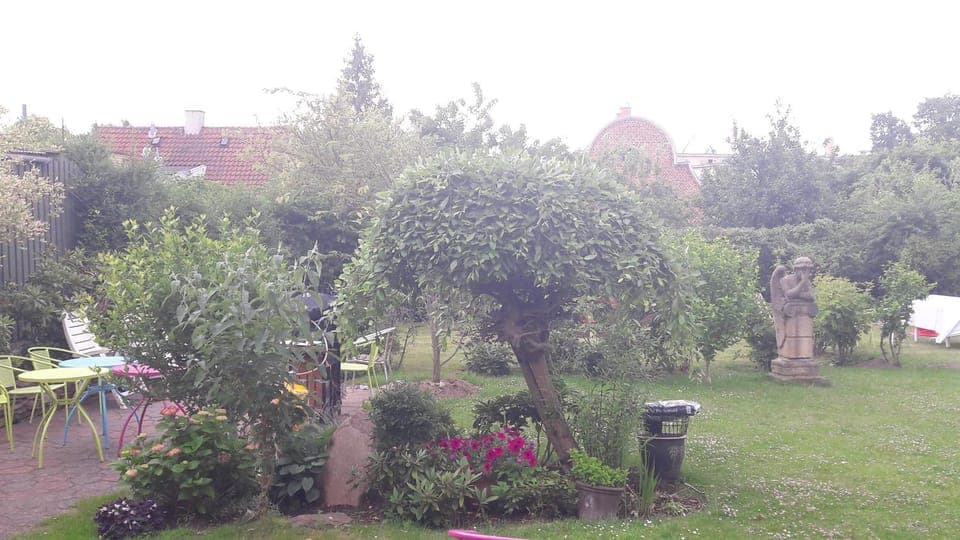 Garden