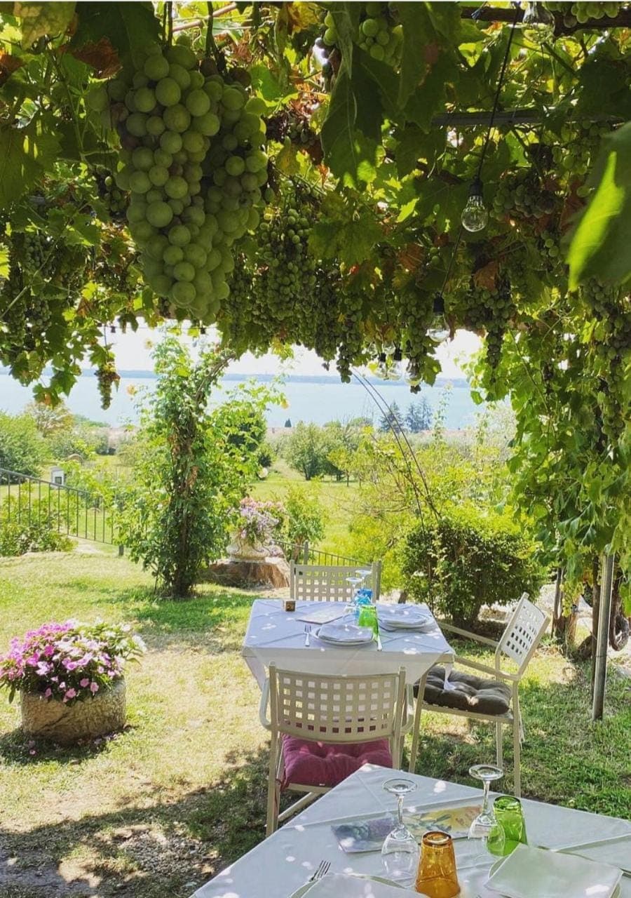Food close-up, Balcony/Terrace