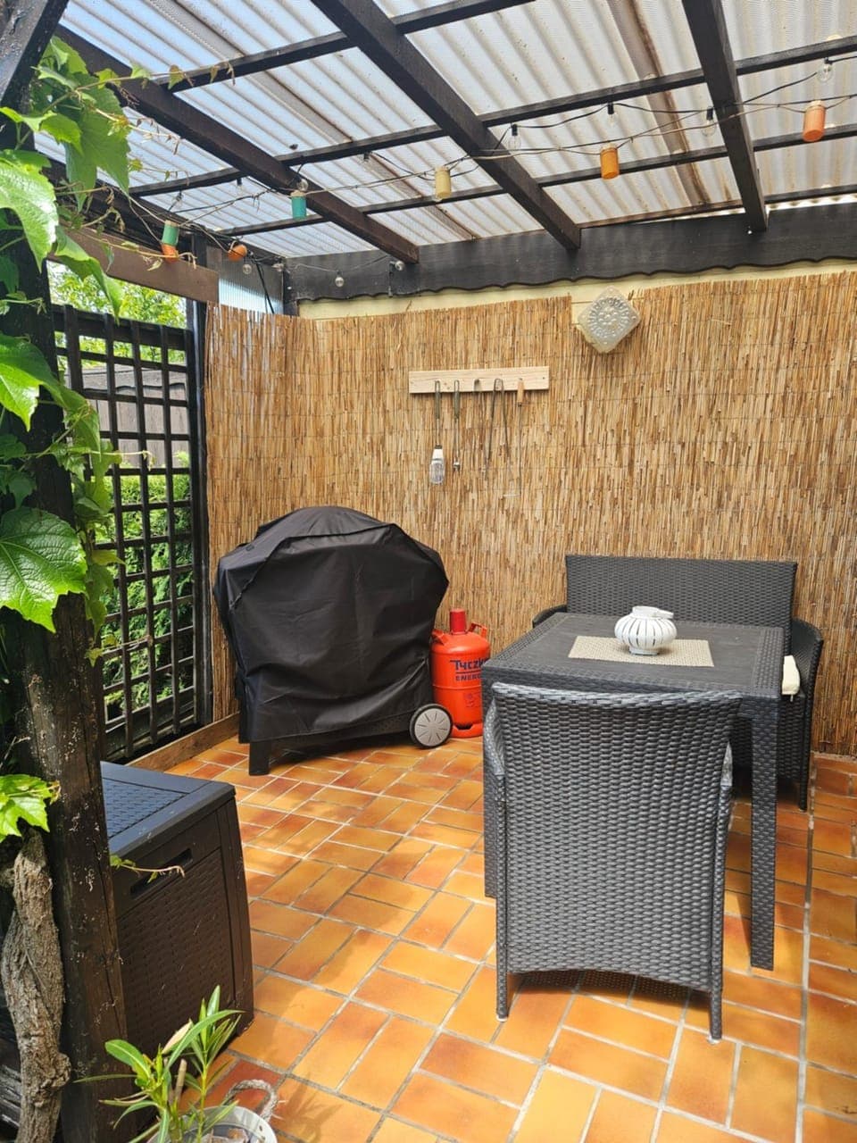 Patio, BBQ facilities