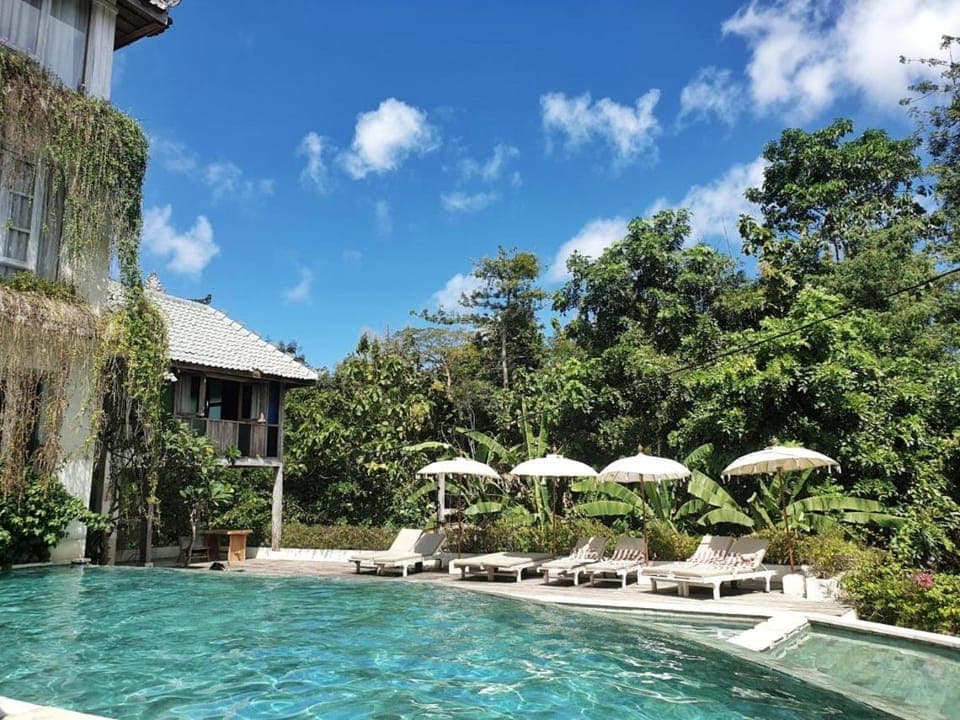 Pool view, Swimming pool