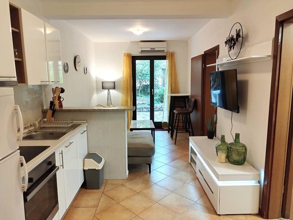 TV and multimedia, Kitchen or kitchenette, dishwasher, minibar, pet friendly, stove