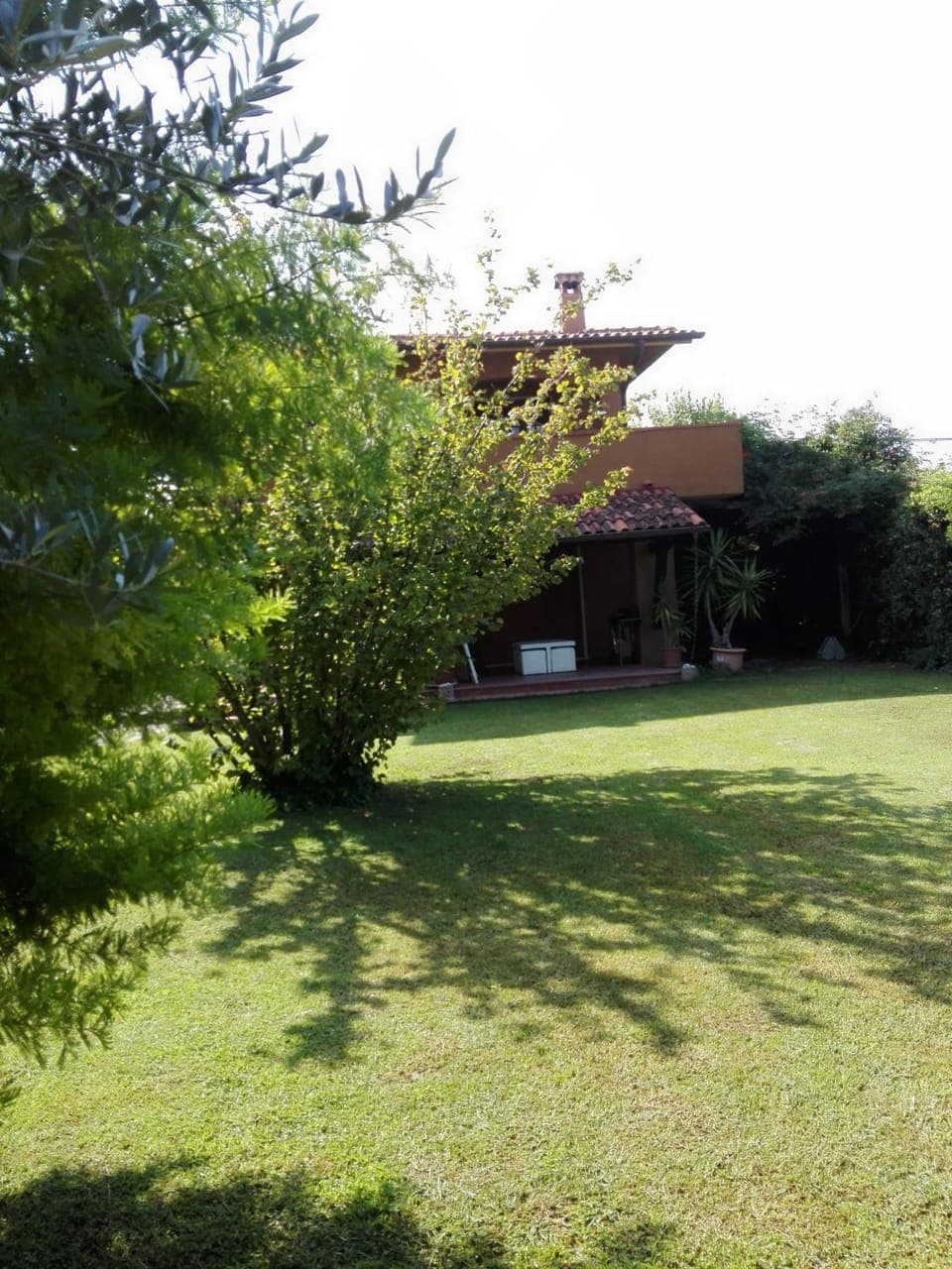 Property building, Day, Garden