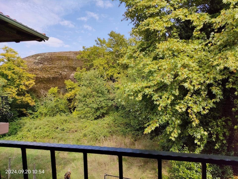 Inner courtyard view