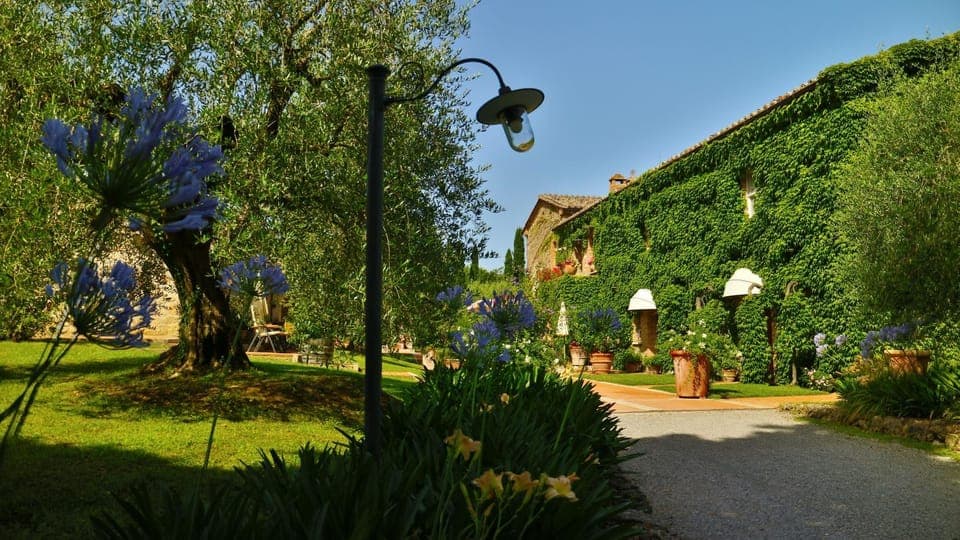 Property building, Garden