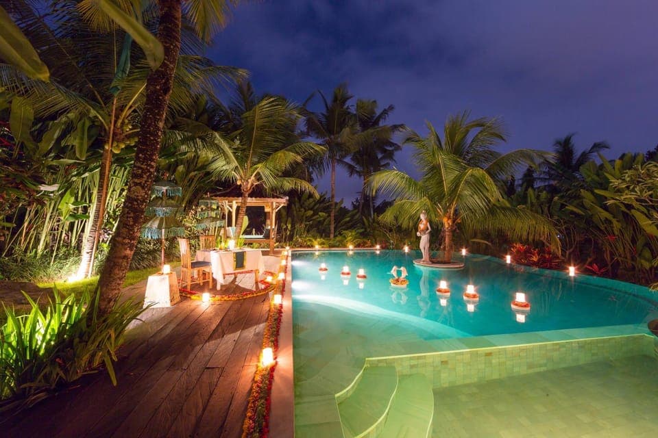 Night, Natural landscape, Garden, Pool view, Swimming pool