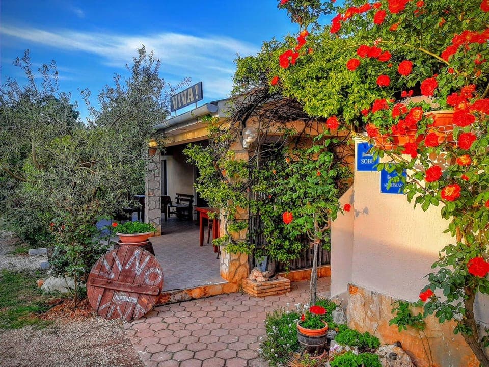 Garden, Other, Area and facilities