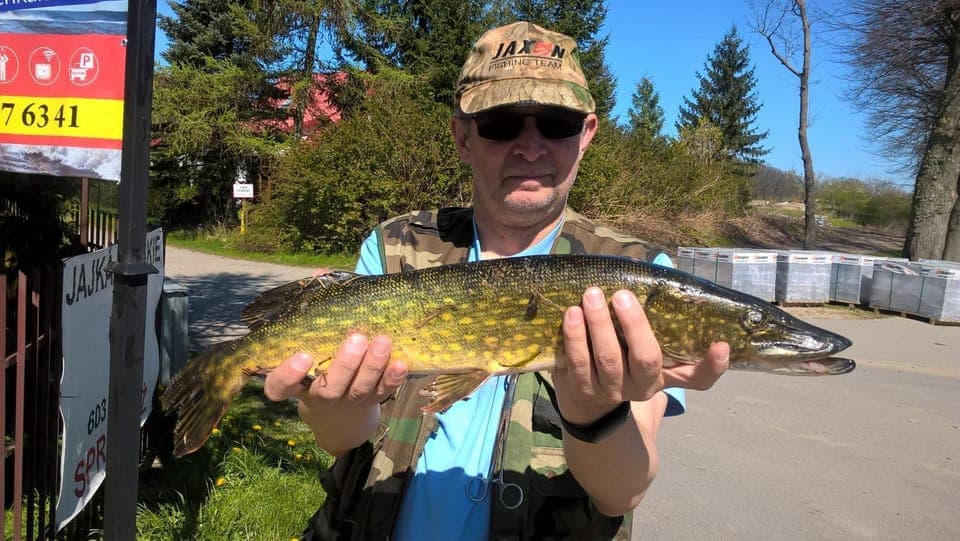 Property building, Animals