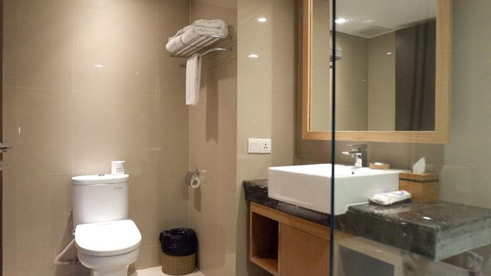 Shower, Toilet, Bathroom, towels