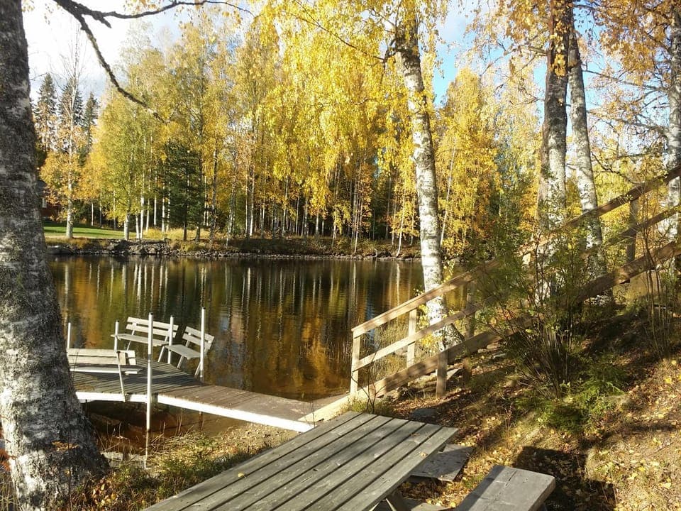 Fishing, Beach, Autumn, On site, Lake view