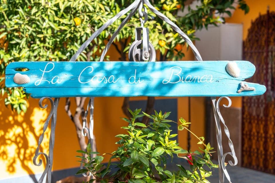 Patio, Garden, Garden view, Inner courtyard view