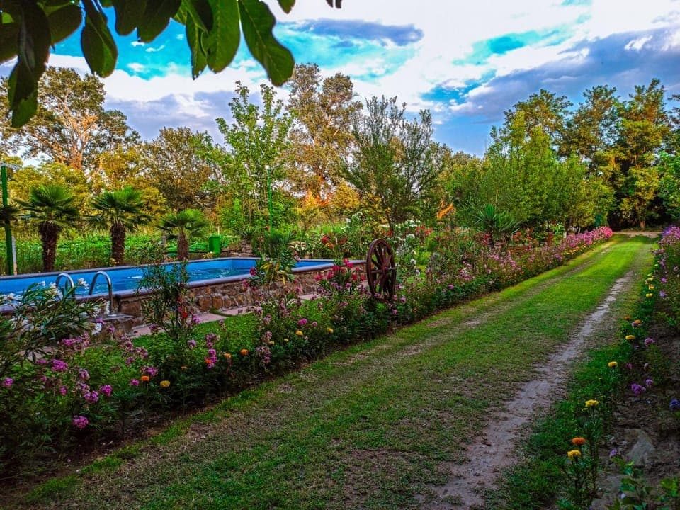 Garden, Pool view