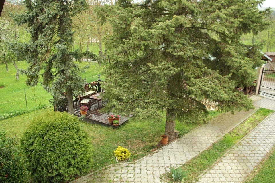 Garden view