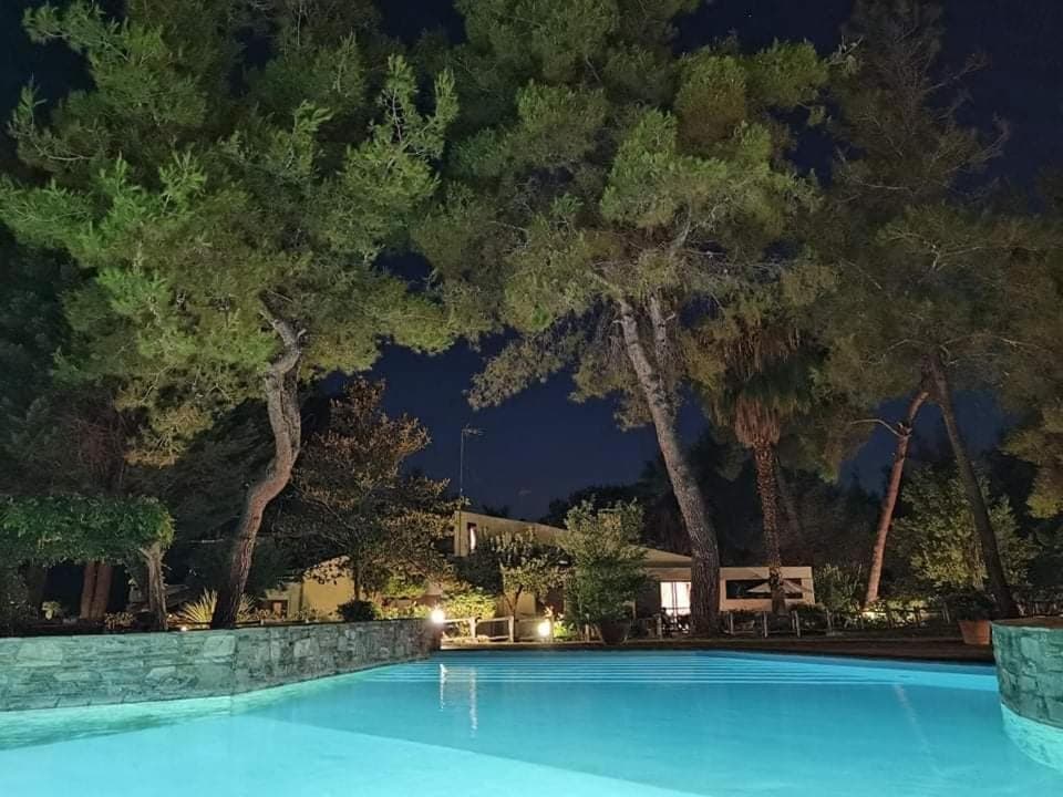Night, Swimming pool