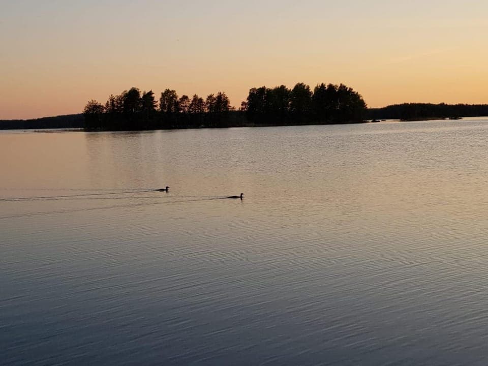 Lake view