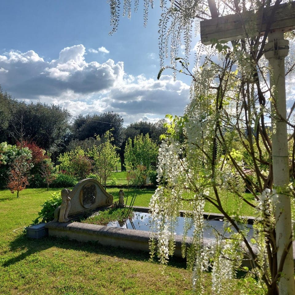 Garden, Garden view, Garden view