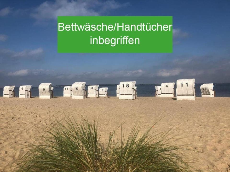 Natural landscape, Beach