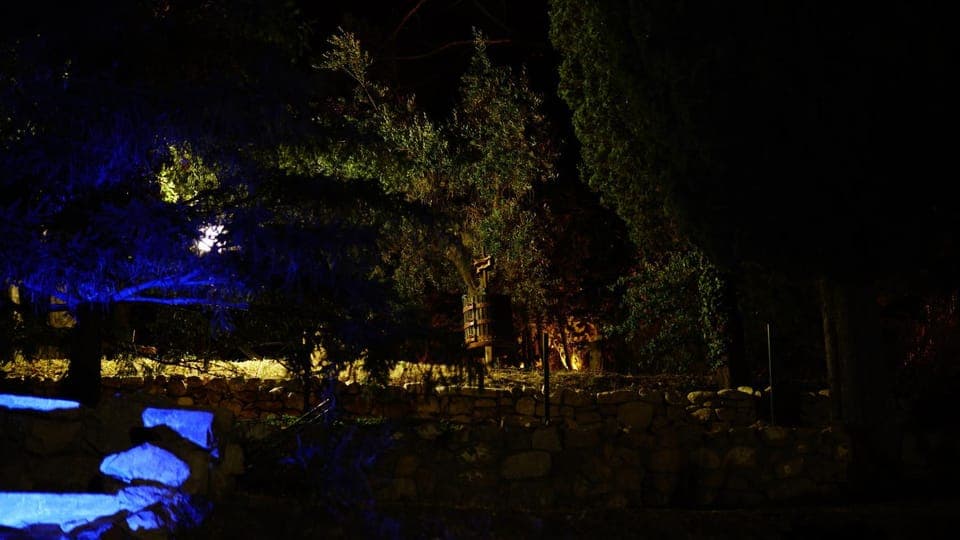 Night, Garden, On site