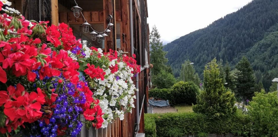 Summer, Garden, Mountain view