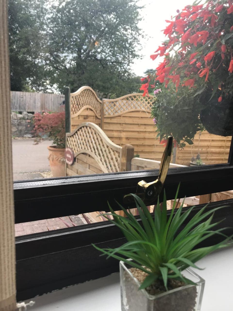Garden view