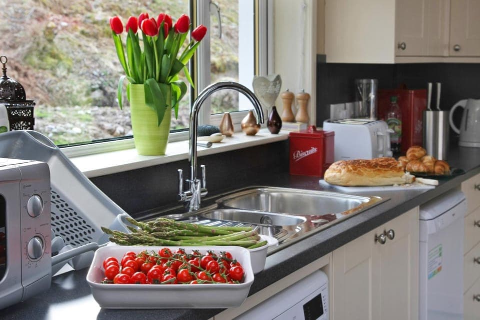 Kitchen or kitchenette, Food and drinks, Food, dishwasher, minibar, pet friendly, stove