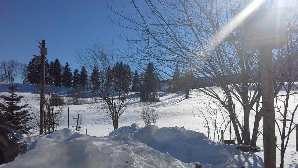 Garden view