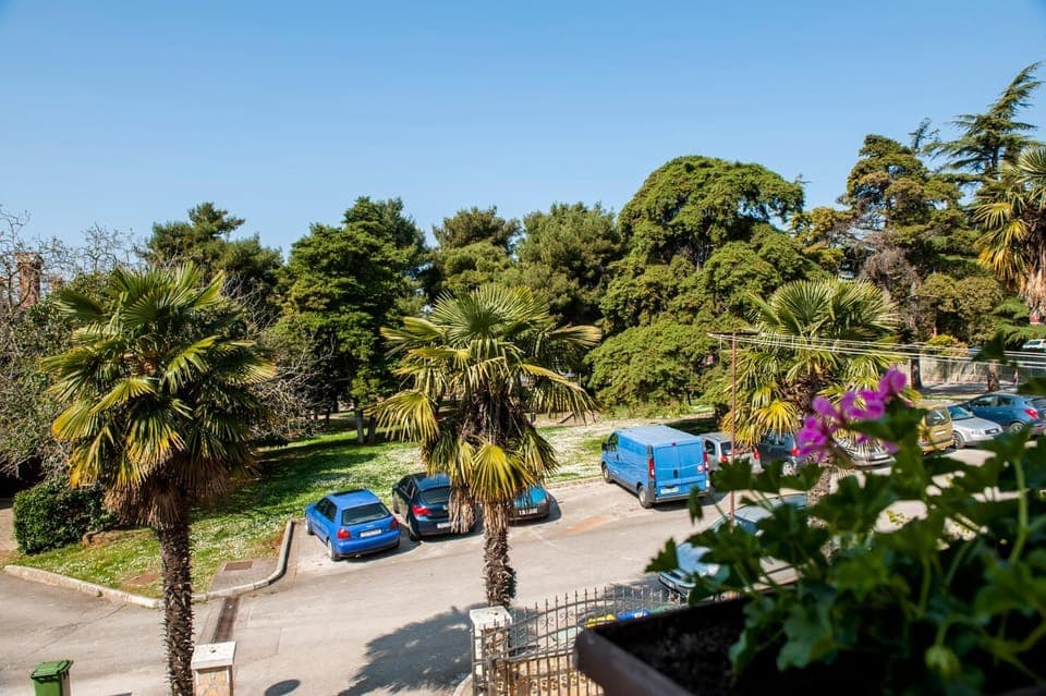 City view, Street view