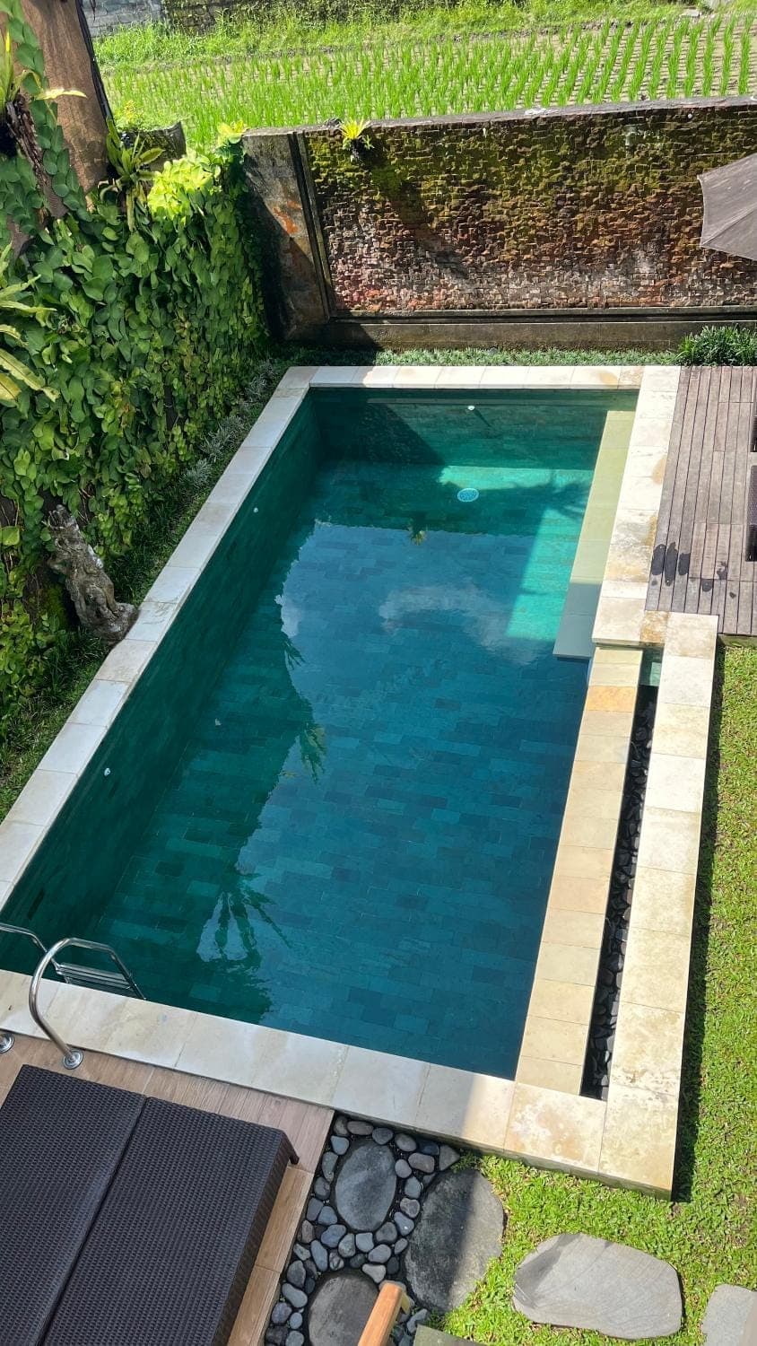 Day, Pool view, Swimming pool