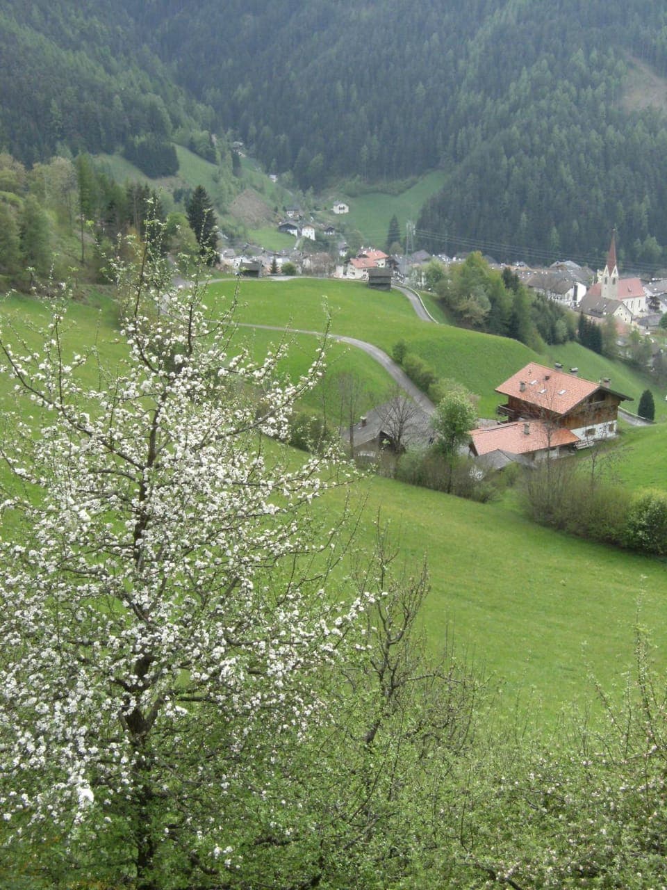 View (from property/room)