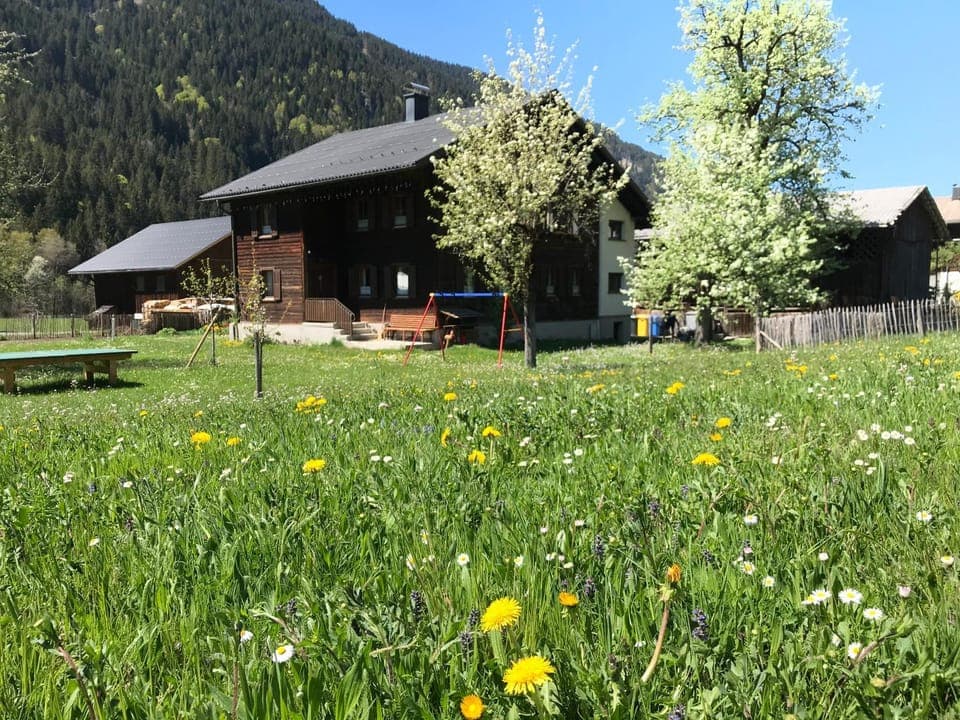 Property building, Garden